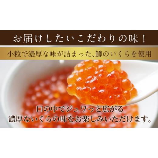 ふるさと納税 北海道 留萌市 鱒いくら 600g（150g×4入）ほたて貝柱 500g 海の幸 セット