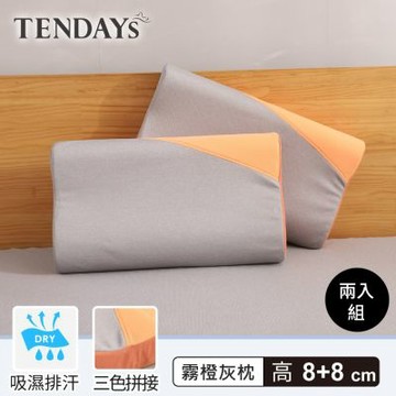 TENDAYS 玩色柔眠枕 霧橙灰 兩入組(8/10cm可選)