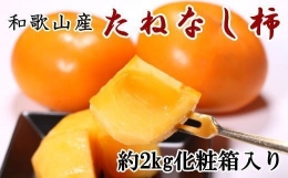 和歌山産のたねなし柿2L～4Lサイズ約2kg（化粧箱入り）※9月下旬から11月上旬順次発送
