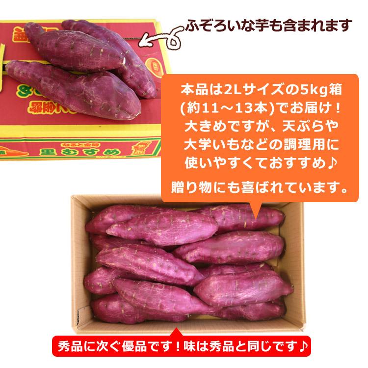 さつまいも なると金時  里むすめ 2L 5kg 自家用 徳島県鳴門市里浦町産 国産 野菜 送料無料