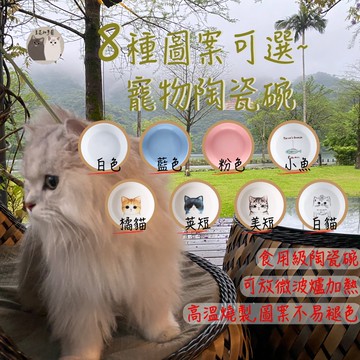 【超殺特價出清】寵物陶瓷碗 貓咪碗 狗碗 貓狗通用 寵物碗 飼料碗 水碗 造型寵物碗  碗 寵物用品 餵食器