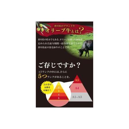 ふるさと納税 牛肉 ロース 牛肉 ステーキ 牛肉 国産 牛肉 黒毛和牛 牛肉 A5 牛肉 オリーブ牛 牛肉 冷凍 牛肉 香川県さぬき市