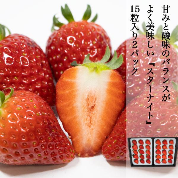 ギフト スターナイト 苺 いちご イチゴ 2パック (1パック15個入り) 約400g strawberry 甘みと酸味のバランスがとてもよく美味しい 産地直送 お取り寄せ