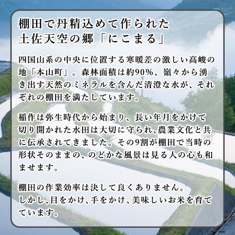 新米 米 お米 10kg 土佐 天空の郷 にこまる 特別栽培米 高知県 本山町 金賞受賞 玄米 10キロ お米マイスター  棚田 米10キロ 選べる精米 分づき