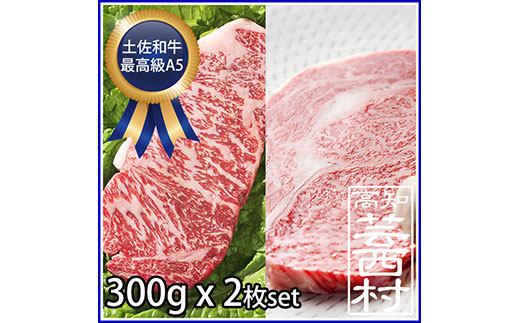 肉 牛 ステーキ土佐 和牛 A5 特選 サーロイン ＆ リブロース ステーキ300g×2枚セット牛肉 ステーキ肉 A5 最高級ランク steak beef 特産品 高知県産 ギフト（新）〈高知市共通返礼品〉お歳暮 御歳暮