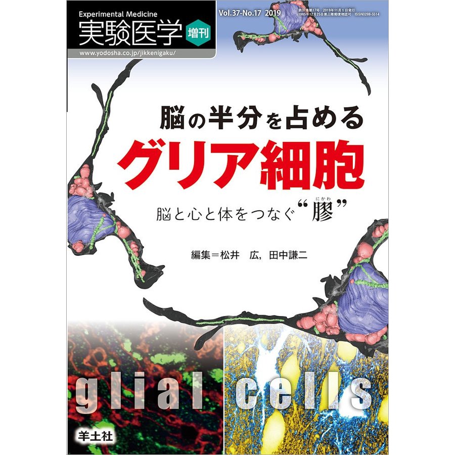 実験医学増刊 Vol.37 No.17 脳の半分を占める グリア細胞~脳と心と体をつなぐ 膠