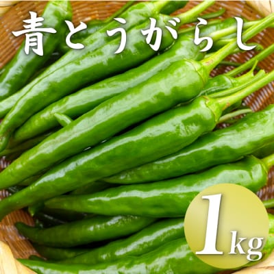 三原村の大きな青唐辛子 1kg(冷凍)