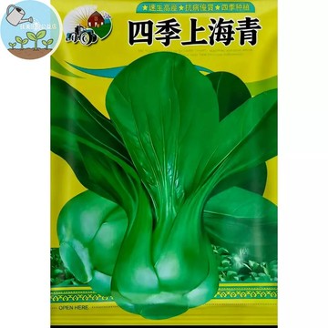 【原廠包裝】台灣現貨 上海青種子/青江菜種子 四季速生快收 免蟲害好種植 家庭陽台盆栽 有機芽苗菜 新手友善 清脆鮮甜