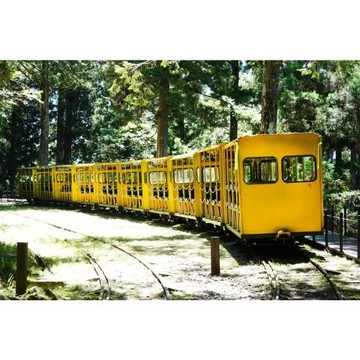 【合車合團.四人成行】宜蘭旅遊│太平山蹦蹦車‧翠峰湖‧見晴懷古步道‧太平山莊2日_26TEYLNPA4
