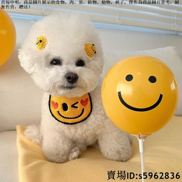 【熱賣免運】貓咪圍脖 可愛口水巾 寵物圍兜 防舔配飾 比熊裝飾品 幼貓泰迪狗用圍巾 寵物用品