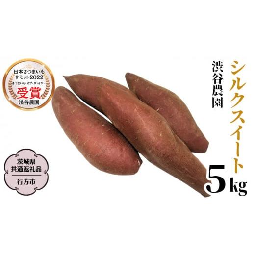 ふるさと納税 茨城県 桜川市 シルクスイート 約5kg   渋谷農園 さつまいも  いも 芋 焼芋 [DT009sa]