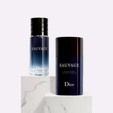 【DIOR】【獨家】曠野之心隨行雙件組 (淡香水+體香膏) [快速出貨]