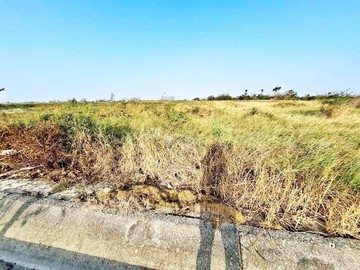 學甲漂亮農地｜台南市學甲區光華段