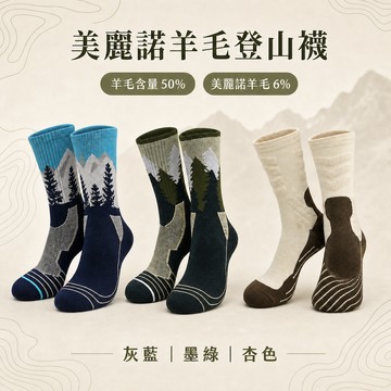 【鞋老闆】美麗諾羊毛登山旗艦運動襪 透氣健行襪 快乾襪 羊毛襪 運動襪 足弓包覆 健行襪 戶外襪 減震襪 台灣現貨秒發🔥