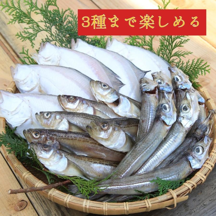 商品管理 京丹後の地元魚屋が作ったお任せ干物セット 3種 詰め合わせ