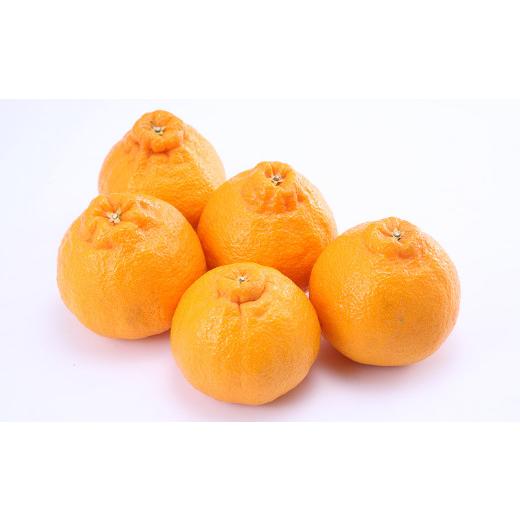 ふるさと納税 熊本県 デコポンおよび熊本県産季節の柑橘 約3kg 約10〜11玉