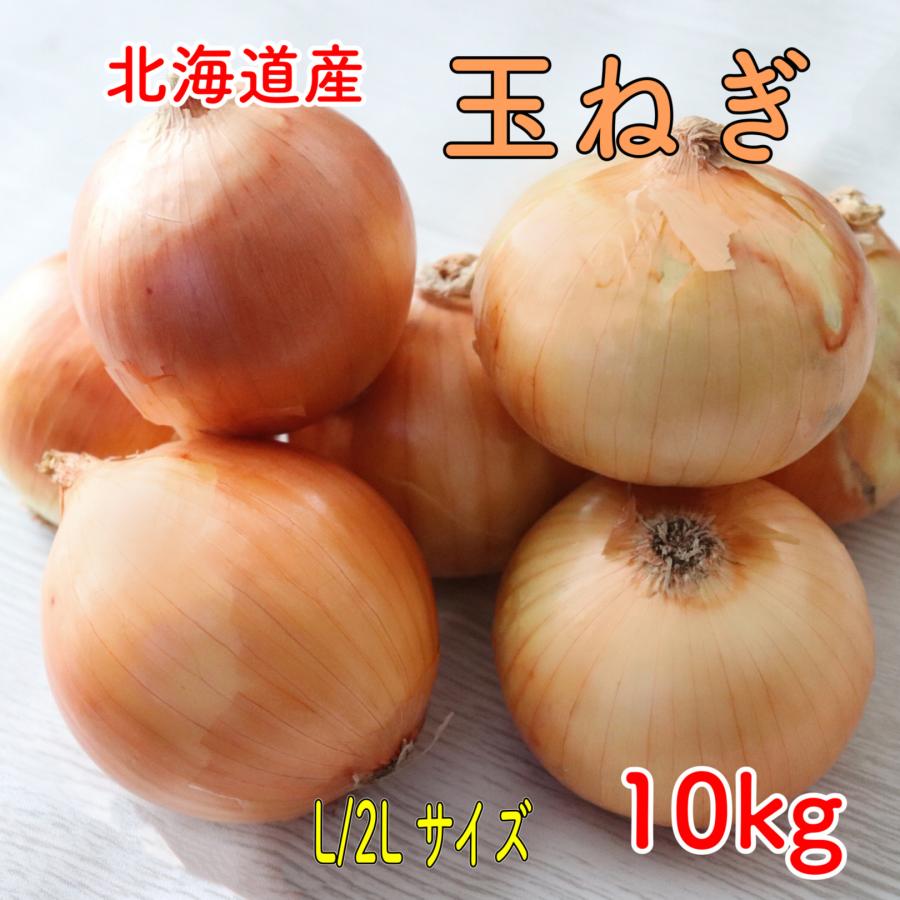 北海道産 玉ねぎ 10ｋｇ たまねぎ 玉葱 タマネギ 常備野菜