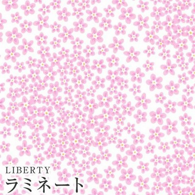 LIBERTYリバティプリント 国産つや消しラミネート＜Ditsy Dot＞(ディッツィドット)【ピンク】MATLAMI3633106-23BT《2023SS BEAUTY AND CHAOS》
