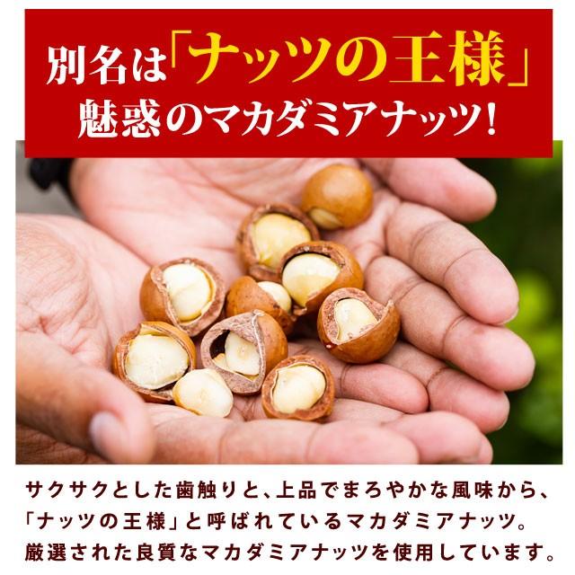 味源 自然の館 マカダミアナッツ 220g x 2袋