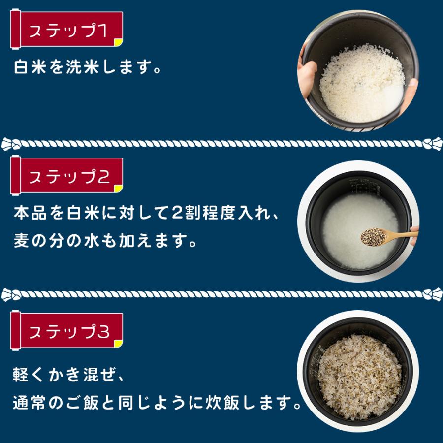 もち麦 国産 ダイシモチ 佐賀県産100% 紫紺色のダイシもち麦 1600g リフ工房 もちむぎ 国産 もち 麦 麦飯 麦ごはん 麦ご飯 チャック袋付き スタンドパック