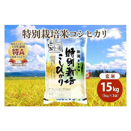 ふるさと納税 新潟県 上越市 令和5年産|新潟上越三和産|特別栽培米コシヒカリ(従来種)15kg(5kg×3)玄米