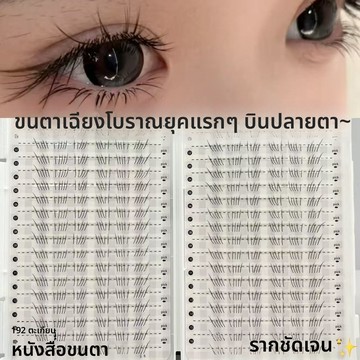 早古斜系眼尾斜飛32排下睫毛透明細梗媽生感根根分明懶人假睫毛