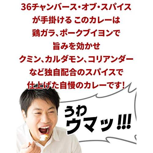 ハンバーグステーキカレー 250g ×2個 中辛 36チャンバーズ・オブ・スパイス レトルトカレー