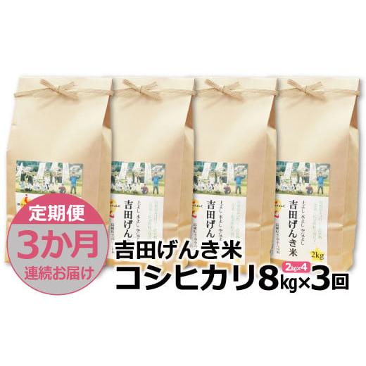 ふるさと納税 島根県 雲南市 「吉田げんき米」コシヒカリ8kg（2kg×4）【島根県産 雲南市産 ブランド米 米 お米 白米 コメ こめ お…