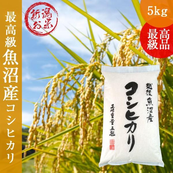 令和5年度 新米 新潟県魚沼産コシヒカリ5kg 白米 ご贈答 ギフト 特Ａ地区