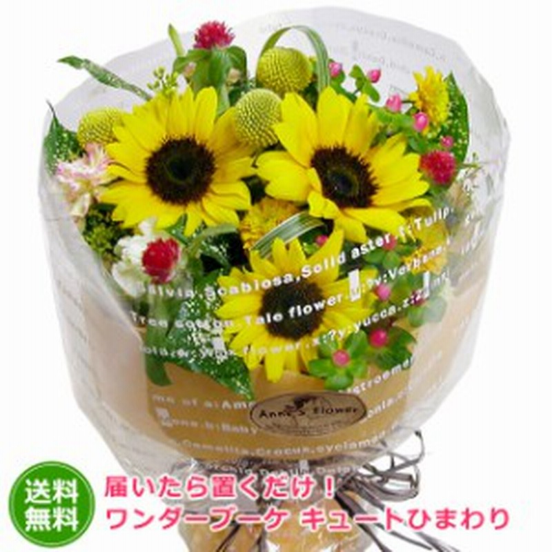 ひまわり 花束 届いたら置くだけ ワンダーブーケ キュートヒマワリ 誕生日 プレゼント 女性 夏 送料無料 スタンディングブーケ 通販 Lineポイント最大1 0 Get Lineショッピング