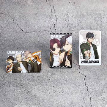 一卡通PLUS - 防風少年 標準款