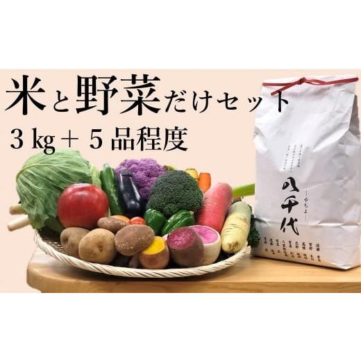 ふるさと納税 岩手県 北上市 お米と野菜だけセットA