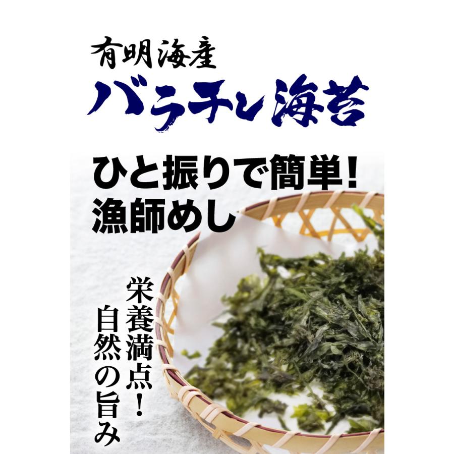 海苔 送料無料 有明海産 バラ干し海苔 2袋セット 10g入 x2袋 のり 訳あり メール便