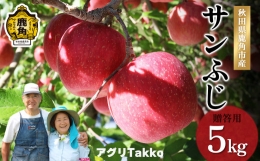 秋田県鹿角産りんご「サンふじ」贈答用 約5kg（16～20玉前後）●2023年11月中旬発送開始　りんご リンゴ 林檎 秋田県産 鹿角りんご 贈答 良品 品質 こだわり 糖度 旬 農家直送 産地直送 5kg