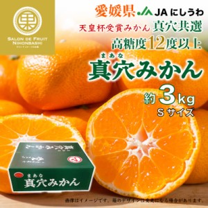 [予約 2023年12月5日から12月30日の納品] 真穴みかん 約3kg Sサイズ 愛媛県 冬ギフト お歳暮 御歳暮