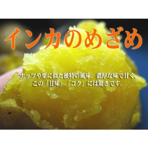 インカのめざめ インカのひとみ 合計1kg(サイズ無選別) 各500g お試し用 北海道産 いんかの目覚め いんかの瞳 甘いじゃがいも ジャガイモ(イ