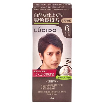 LUCIDO 倫士度 按壓式染髮霜 (第一劑、第二劑) 遮蓋白髮  深棕色  1組