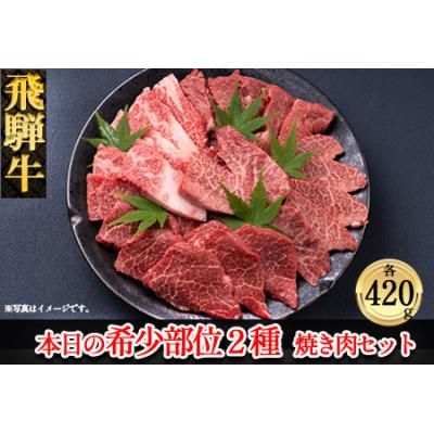 ふるさと納税 下呂市 飛騨牛本日の希少部位2種焼肉セット　各420g