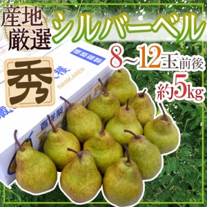 ”シルバーベル” 秀品 8～12玉前後 約5kg 産地厳選 洋梨 送料無料