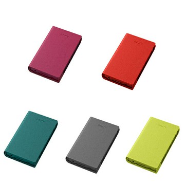 SONY CKS-NWA30 專屬保護套 適用於 A35/A36HN ‵台灣公司貨