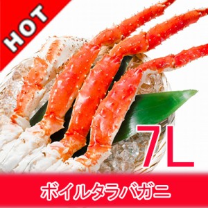 本タラバガニ ボイル 7Lサイズ (1肩　約１.4kg)  1肩　ロシア アラスカ産