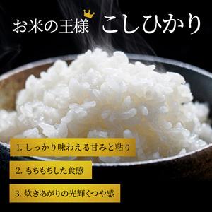 ふるさと納税 米 こしひかり BG無洗米 5kg 令和5年 ふるさと応援特別米 無洗米 お米 こめ コメ おこめ 白米 コシヒカ.. 滋賀県豊郷町