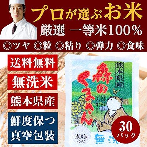 前田家 無洗米 プロが選ぶ厳選一等 米 食味ランク 特A 森のくまさん 2合 30パック 精米 熊本県産