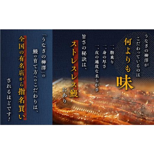 ふるさと納税 鹿児島県 大崎町 うなぎの柳澤　うなぎ蒲焼4尾（計680g）