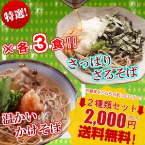 かけそば　ざるそば　詰め合せ 2種6人前 蕎麦麺　和そば　日本そば　もり蕎麦 本格鰹だしつゆ お試し セット お取り寄せ 通販 グルメ