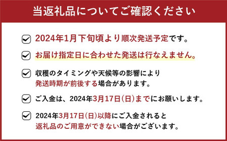 福岡県産 博多あまおう 約1.68kg (約280g×6パック入り) いちご 苺 ※北海道・沖縄・離島配送不可