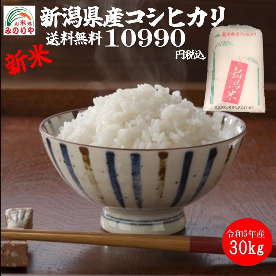 新米 令和5年産 新潟県産 コシヒカリ 玄米30kg うまい米 米専門 みのりや ポイント消化 送料無料