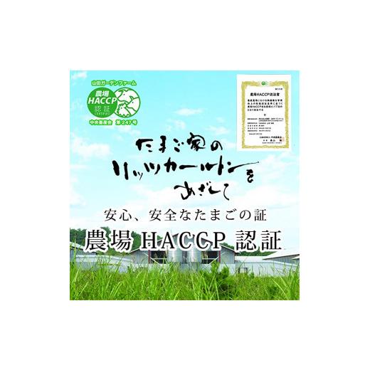 ふるさと納税 山形県 米沢市  紅花たまご60個セット 10個×6パック／月 [026-003]