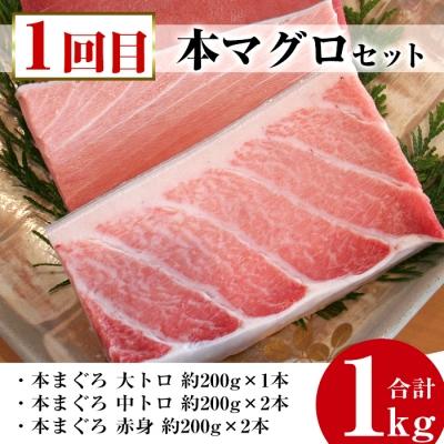 ふるさと納税 いちき串木野市 いちき串木野プレミアム定期便(マグロ・鰻・牛肉)