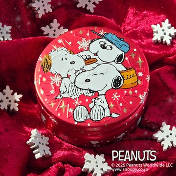 史努比兄弟 安迪與歐拉夫 75g